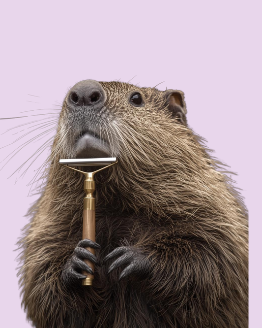 Let’s Talk About Your Beaver