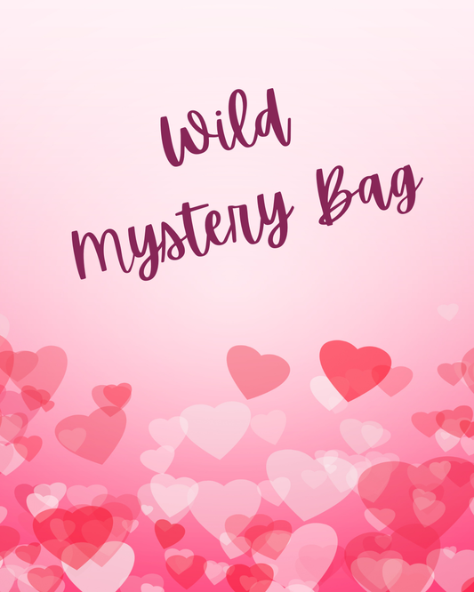 Wild Mystery Bag